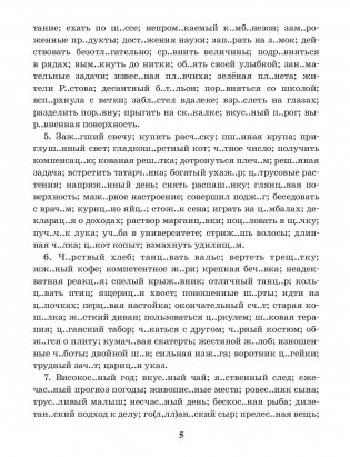 Русский язык. Тренажер по орфографии и пунктуации. 9 класс фото книги 5