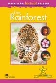 The Rainforest фото книги