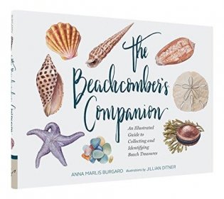 The Beachcomber's Companion: An Illustrated Guide to Collecting and Identifying Beach Treasures фото книги