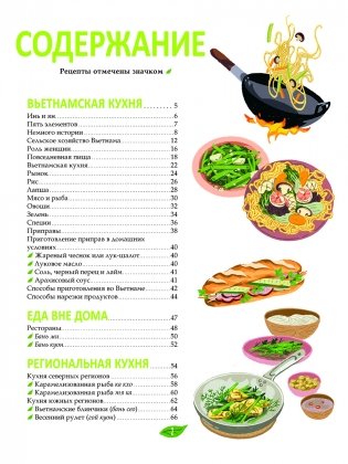 Вьетнамская кухня в иллюстрациях фото книги 2