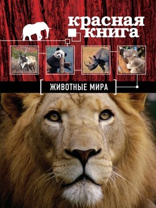 Красная книга. Животные мира фото книги