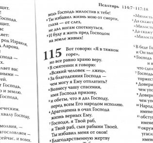 Библия в современном русском переводе (синяя, 1319) фото книги 2