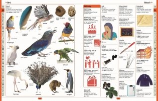 Children's Illustrated Dictionary фото книги 2