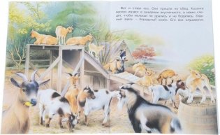 На ферме фото книги 3