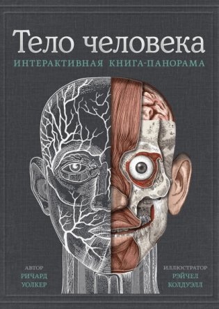 Тело человека. Интерактивная книга-панорама фото книги