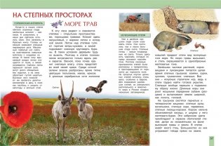 Животные России фото книги 2