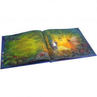 Маленькая фея не может уснуть фото книги 5