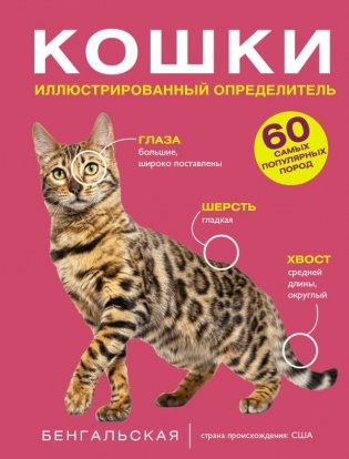 Кошки. 60 самых популярных пород. Иллюстрированный определитель фото книги