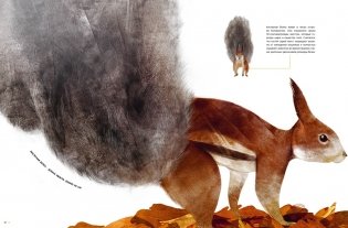 Самые удивительные животные в натуральную величину фото книги 6