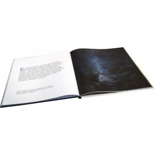 Туманный человечек с Боденского озера фото книги 4