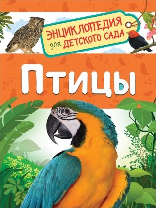 Птицы. Энциклопедия для детского сада фото книги