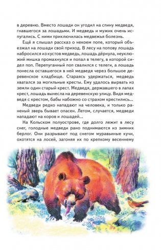 Русский лес фото книги 11