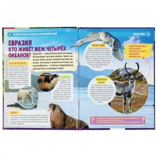 Энциклопедия. Животные разных континентов фото книги 3