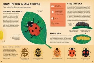 Кто появляется на свет из яйца? фото книги 3