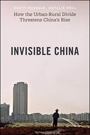 Invisible China: How the Urban-Rural Divide Threatens China's Rise фото книги