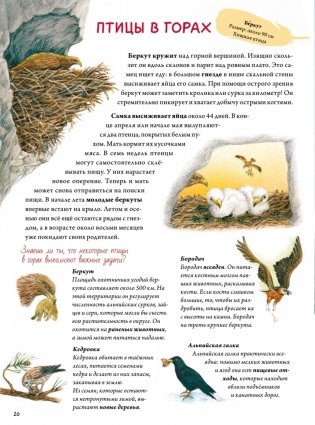 Книга о птицах. BIObook А. Толмачёва фото книги 2