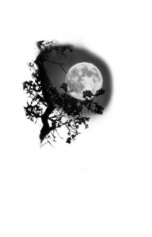 Луна костяной волшебницы фото книги 2