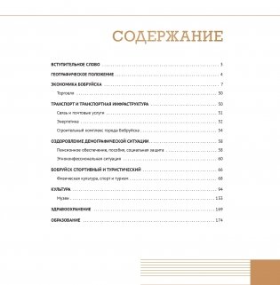Бобруйск - это мы! фото книги 10