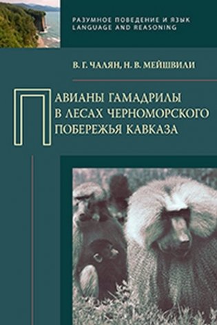 Павианы гамадрилы в лесах Черноморского побережья Кавказа фото книги