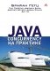 Java Concurrency на практике фото книги маленькое 2