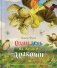 Один день из жизни дракоши: сказка фото книги маленькое 2