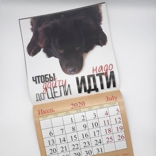 Календарь 2020 / 30х30 (в ассортименте) фото книги 6