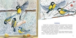 Птицы за окном фото книги 2