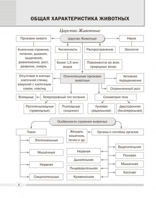 Биология. 8 класс. Опорные конспекты, схемы и таблицы. ГРИФ фото книги 3