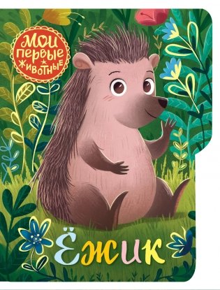Ёжик фото книги
