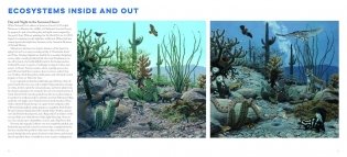 Jay Matternes фото книги 3