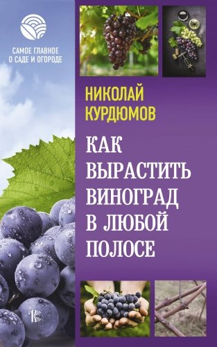 Как вырастить виноград в любой полосе фото книги