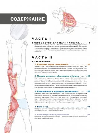 Анатомия фитнеса и силовых упражнений: иллюстрированный справочник по мышцам в действии фото книги 2