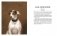 Такие разные собаки в произведениях искусства фото книги маленькое 7
