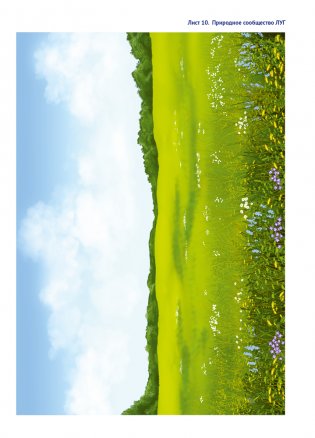 Природа в развитии и воспитании детей дошкольного возраста. 5—7 лет. Учебное наглядное пособие. ГРИФ фото книги 6