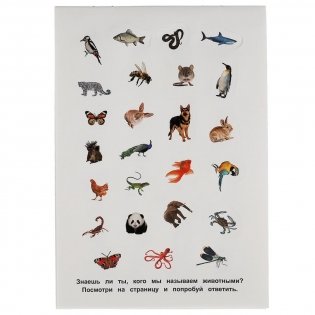 Альбом наклеек "Такие разные животные" (100 наклеек) фото книги 3
