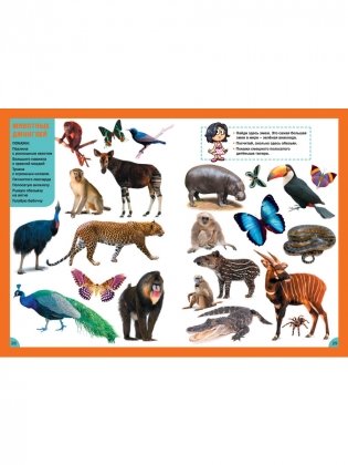 Животные. Для детей от 3 до 6 лет фото книги 6