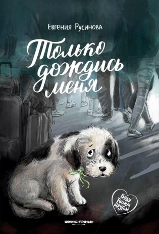Только дождись меня. 6-е изд фото книги