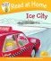 Ice City фото книги маленькое 2