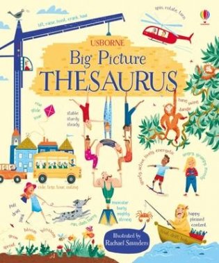 Big Picture Thesaurus фото книги