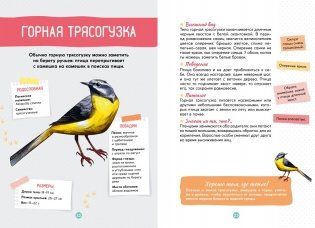 Птицы фото книги 7