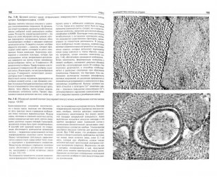 Цитология. Функциональная ультраструктура клетки фото книги 2