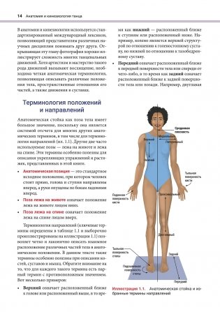 Анатомия и кинезиология танца фото книги 5