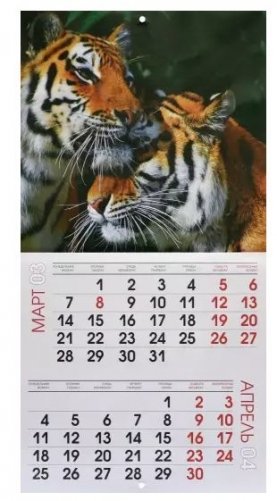 Настенный перекидной календарь на 2022 год "Символ года. 2", 290х560 мм фото книги 3