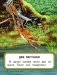 Кощей Бессмертный фото книги маленькое 3