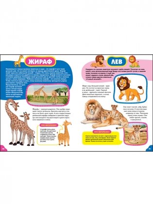 Животные для самых маленьких. Лучшая энциклопедия для малышей фото книги 6