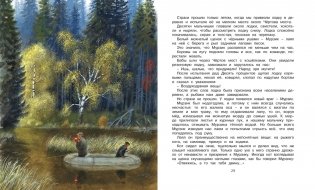 Корзина с еловыми шишками фото книги 5