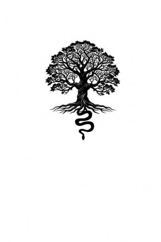 Заглянувший фото книги 2