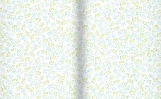 Мой друг Бертольт фото книги 2