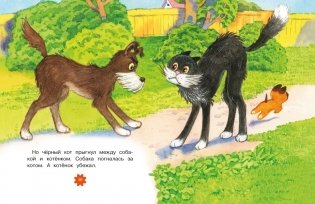 Котенок по имени Гав фото книги 4