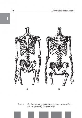Анатомия человека. Полный компактный атлас фото книги 8